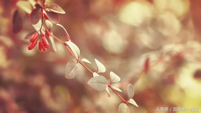 12生肖九月吉凶一览表!你是大吉吗?