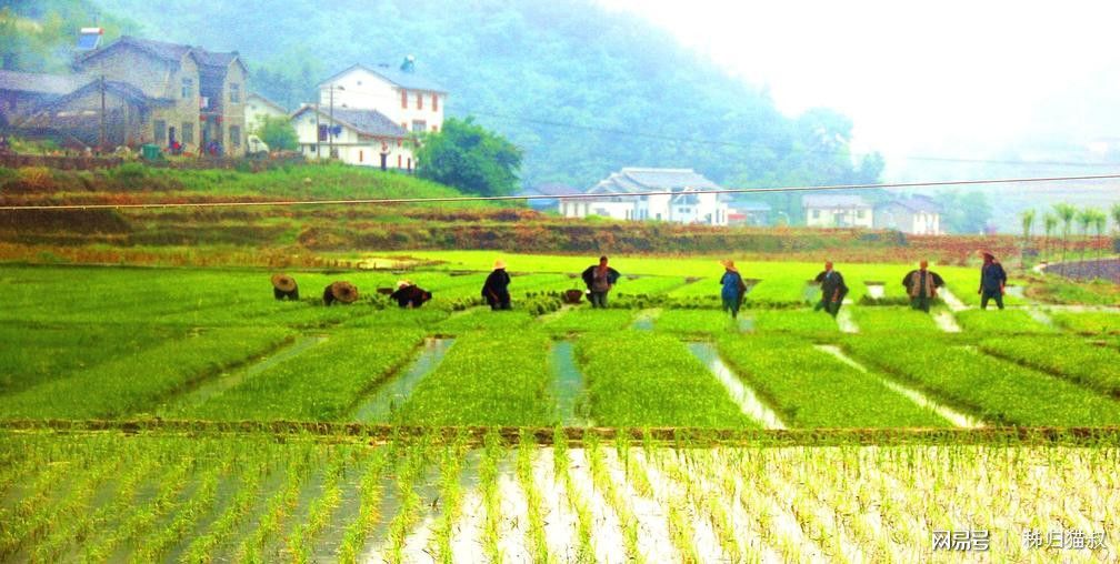 宜昌周边自驾游哪里去?秭归石柱圣天庄园欢迎