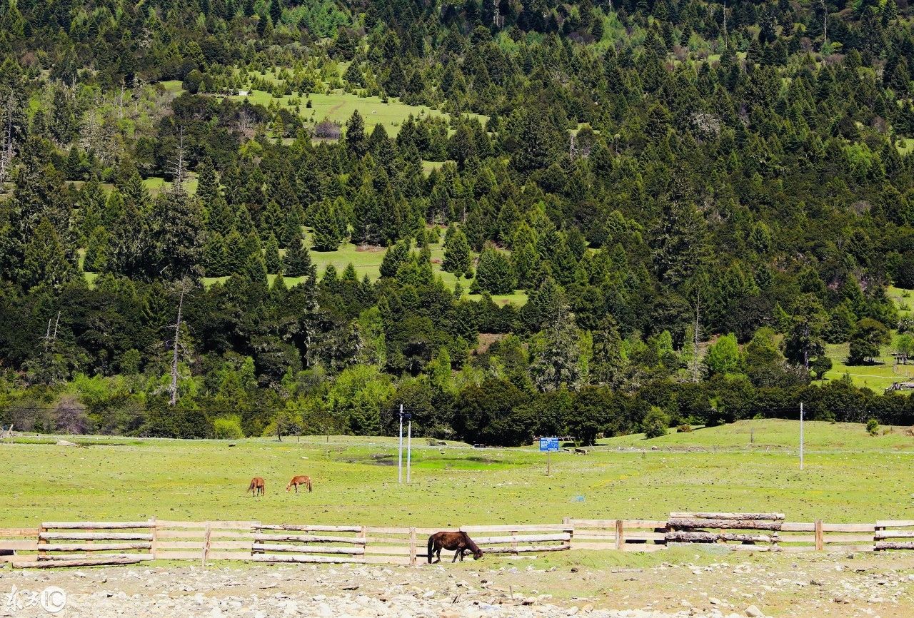 背着氧气瓶半个月,挑战高原反应,只为东方小瑞