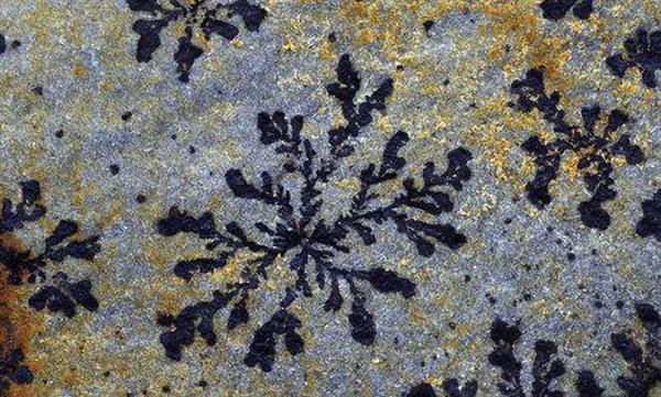 电水壶会让人变傻?你需要认识它 电水壶会让人变傻?你需要认识它