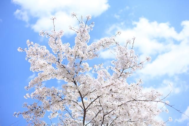 2019考研大纲即将公布!研究生目前就业薪水一