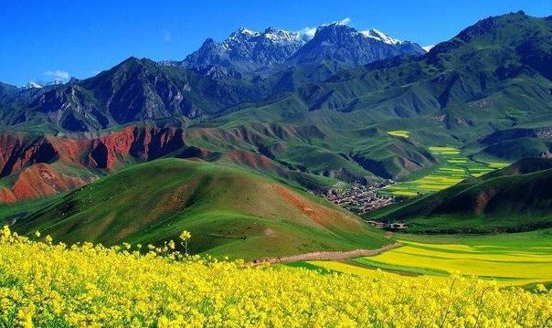 银兰高铁最新情况:宁夏段进展顺利,甘肃段施工