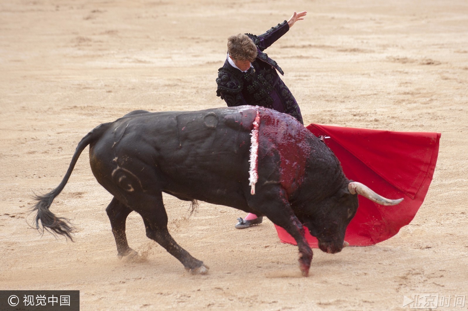 看着都好痛! 西班牙奔牛节公牛牛角折断满头鲜血