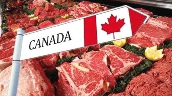 中方将暂停所有加拿大肉类对华出口?使馆回应