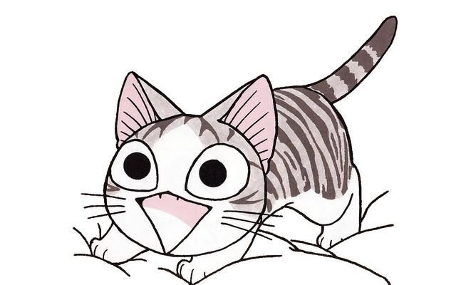 自制猫饭经济篇:三文鱼加鸡胸肉才2块5毛,能吃