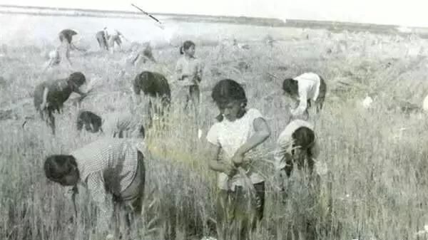 三次颠覆世界观,目前看到的关于近年中国崛起