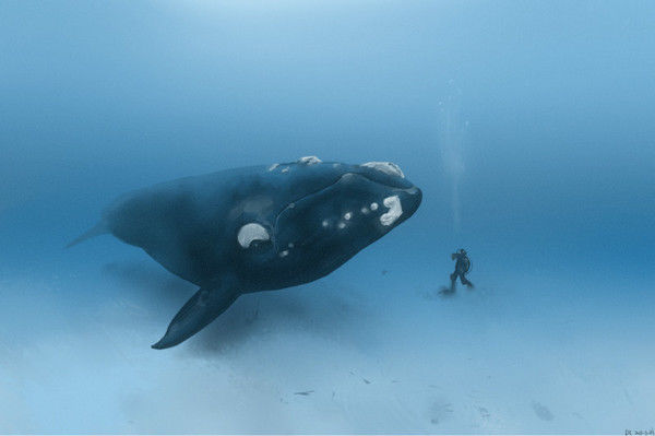 世界十大精神疾病之一,面对大海无法克制的惧