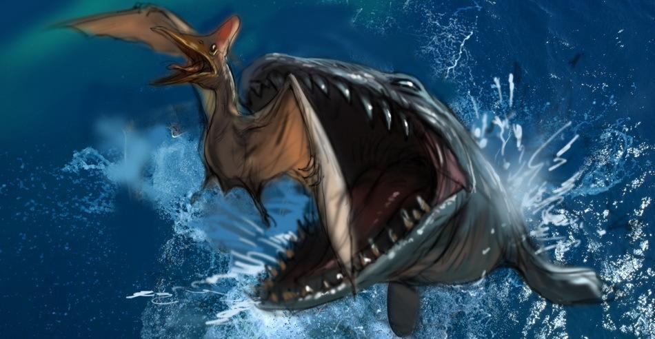 在陆地横行,后又进化为海洋巨兽成为海洋中最大的顶级掠食者 在陆地横行,后又进化为海洋巨兽成为海洋中最大的顶级掠食者