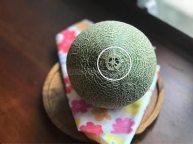 哈密瓜熟没熟,看着几个地方就知道