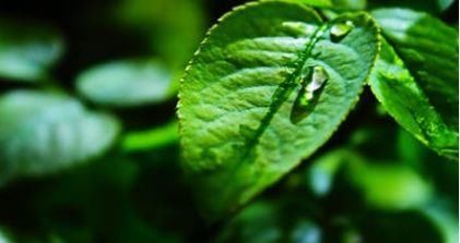 高考失利:复读一年还是以后考研?靠这三点才能