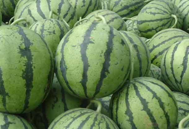 韩国人来中国旅游,最喜欢这两样食物,不只自己