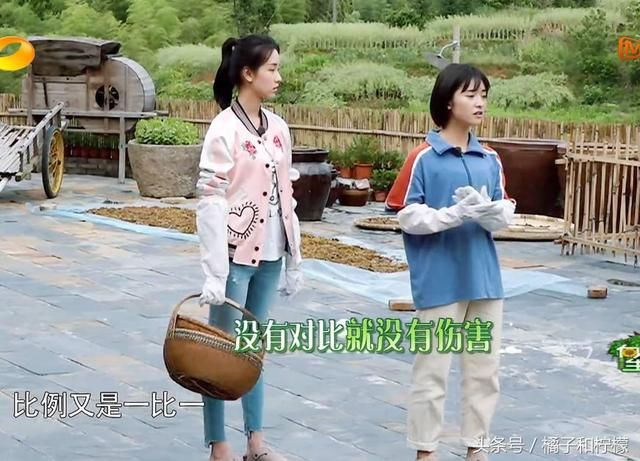 沈月的这个问题,黄磊和彭昱畅的回答得0分,而