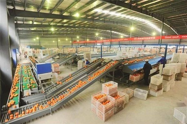 重磅!农产品精深加工又要大爆发