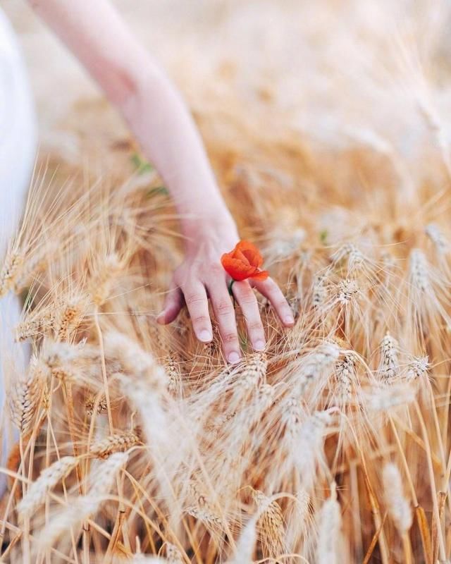 适合发朋友圈简短伤感的句子