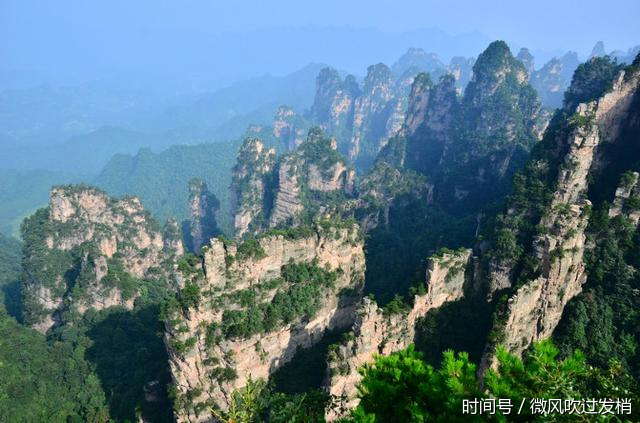 天津坐飞机到张家界,包导游(线路攻略)