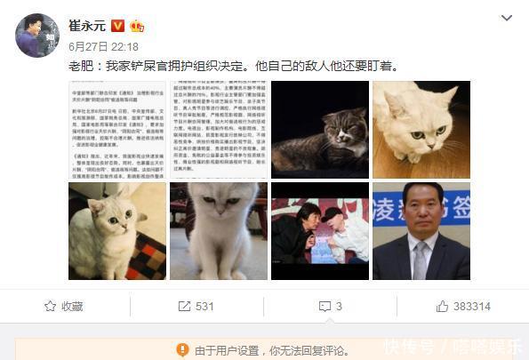 崔永元微博:不能评论,不能转发,咋回事?