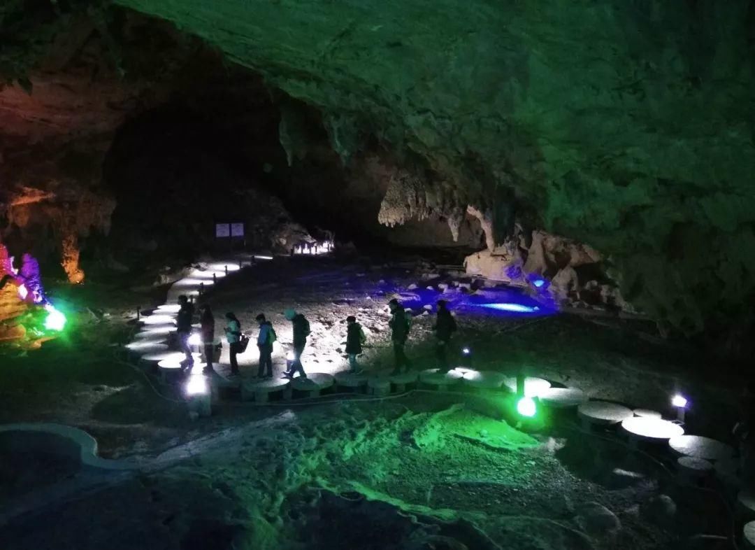 小学生寒假活动感受怎么写?这名小学五年级学