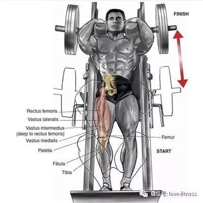 健身不练腿早晚要后悔!分享9个实用腿部训练动
