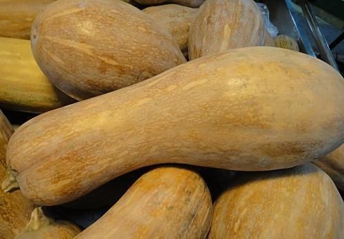 南瓜是我们生活中常见的一种蔬菜,有着极高的营养价值.