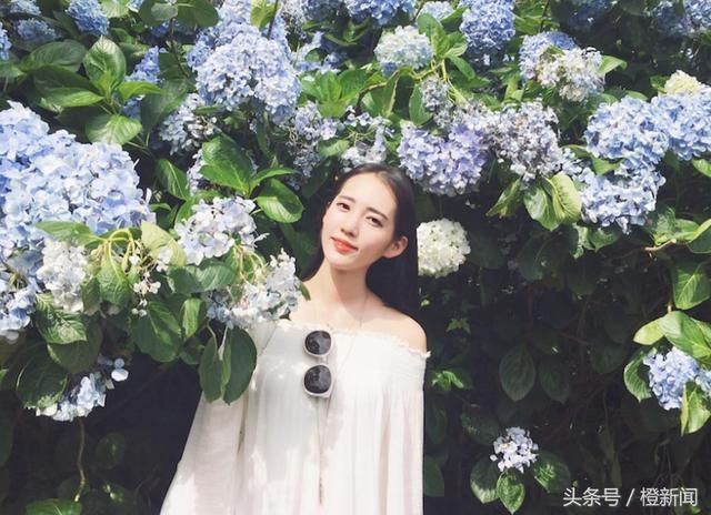 余文乐结婚啦!好奇一般香港婚宴份子钱给多少