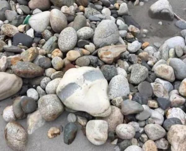 小伙去河边抓鱼捡到一块石头,洗干净后不淡定了!