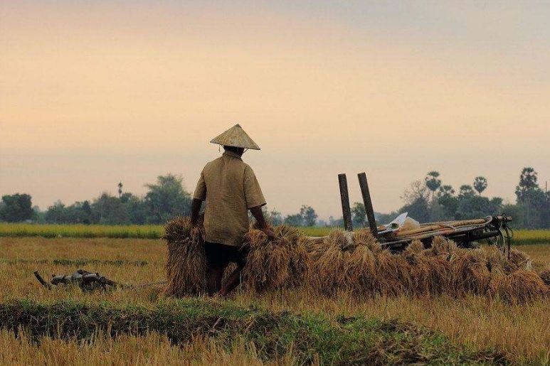 云南15个县拟退出贫困县序列,2018年脱贫攻坚