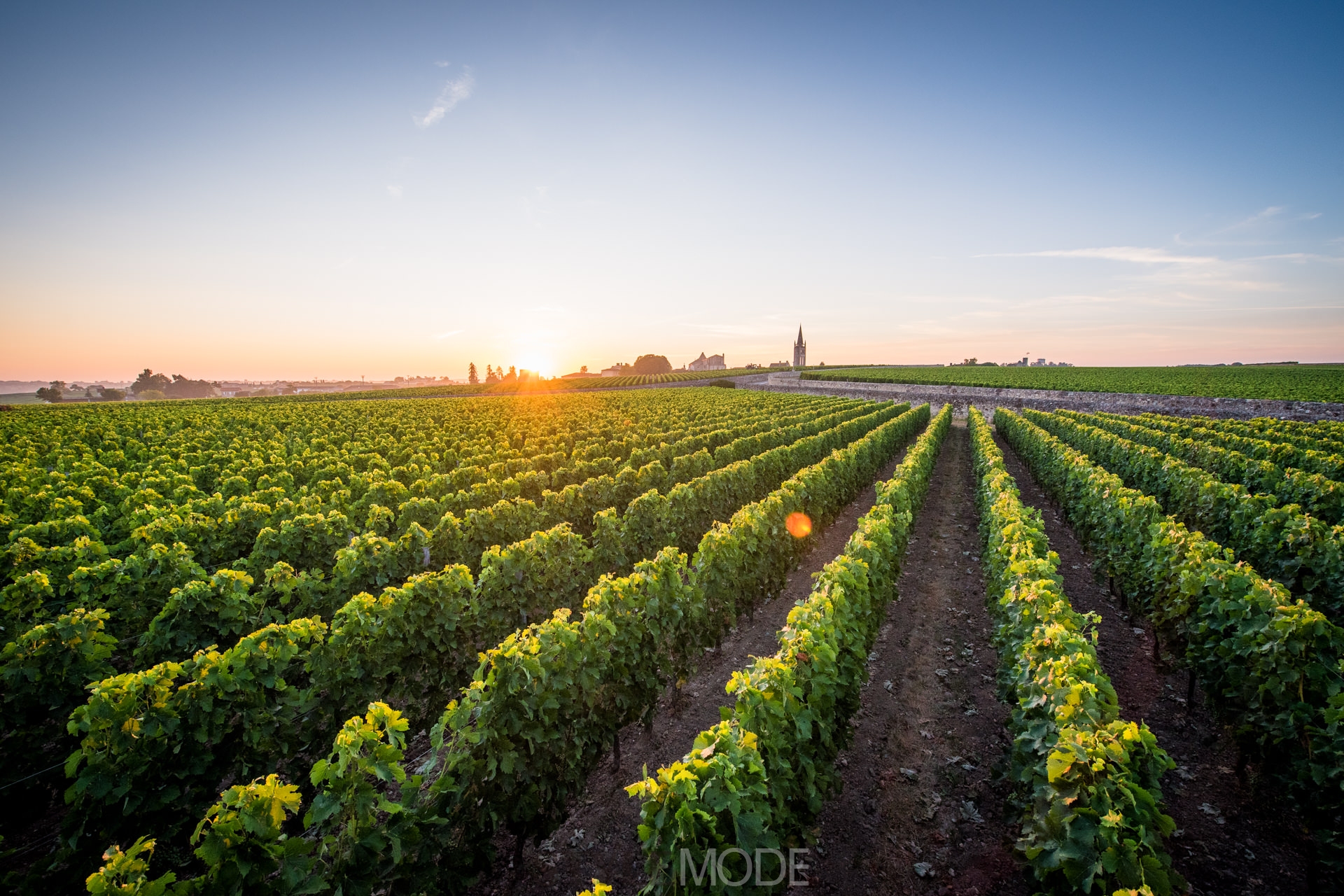 这里有着全球最为集中的葡萄酒法定产区,拥有4种完全不同的土壤类型