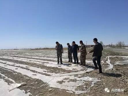 2017年5月4日新疆农业气象灾害预警评估