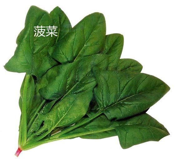 菠菜又叫波斯菜,鹦鹉菜,它是藜科菠菜属,原产伊朗.是现在常见的蔬菜.