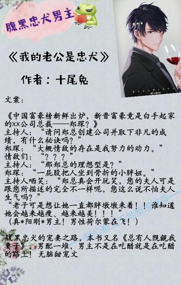 男主腹黑忠犬的小说推荐,漫漫宠妻之路,苦与甜