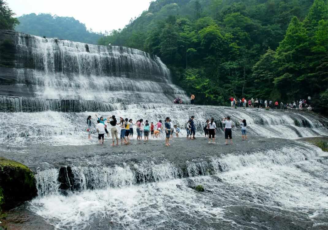 黃荊老林位於瀘州市古藺縣西北部,自然面積433平方公里,是西南地區