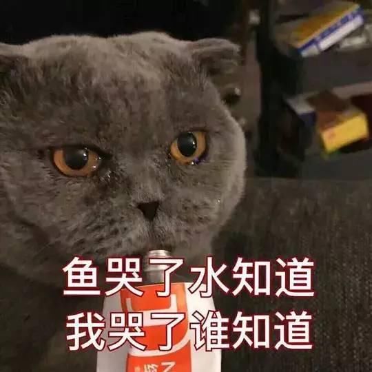 见鬼,邓紫棋男友是闺蜜前任,身为私人造型师竟