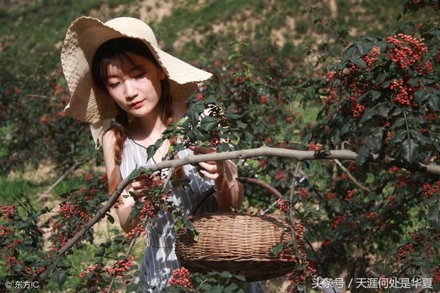 韩国学者:华夏中国文明雄踞东方超过百万年,韩