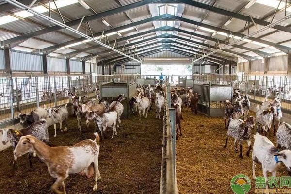 农村养殖补贴怎么领取?2018年养殖补贴和贷款