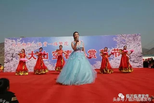 临沂临港区:乡村振兴正扬帆