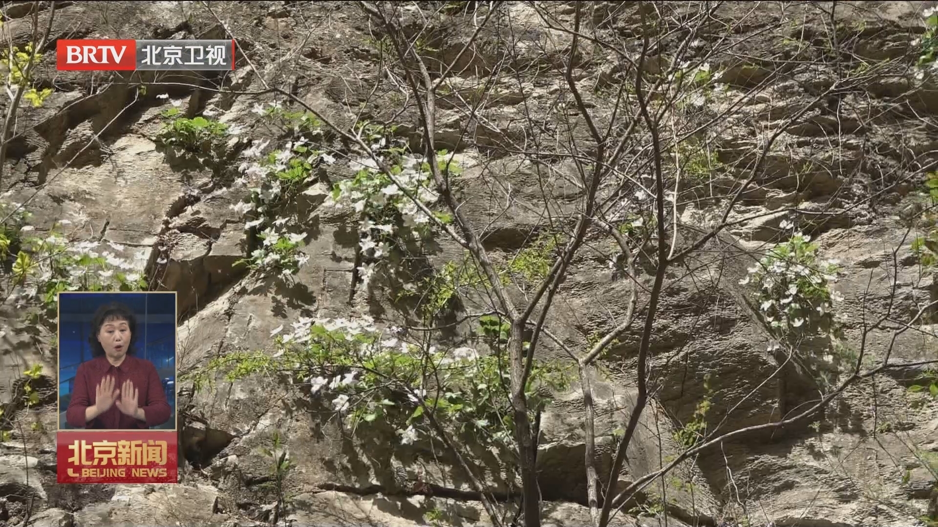北京建成首个野生植物保护小区