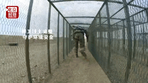 中国陆军承办国际军事比赛2017：安全环境单组赛