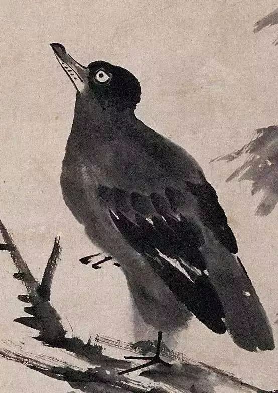 局部八大山人《孤禽图》八大山人《孤禽图》八大山人《花鸟册》究部