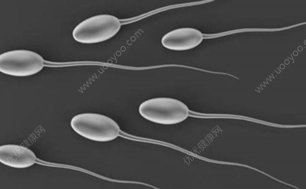 别老信壮阳偏方!吃这样、这样做才能补充精子