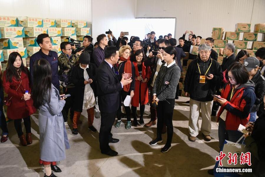十九大境外记者河北探访