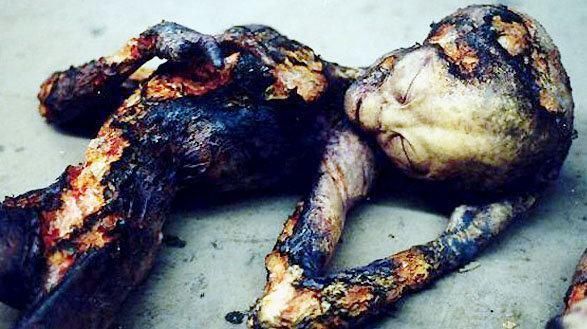 一飞碟坠落在此地郊区,联合调查组发现14具"尸体",解剖后惊呆