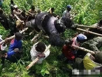 好可怕,2019艾滋病再度侵袭娱乐圈?罪魁祸