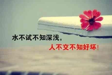 朋友圈早安简短句子心情说说 正能量的早安短