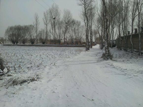 老农民辛苦总结出十条关于雪的谚语,你都听说