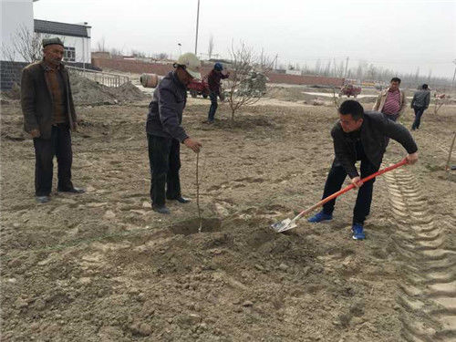 阿克苏市地税局驻村工作队组织党团志愿者开展