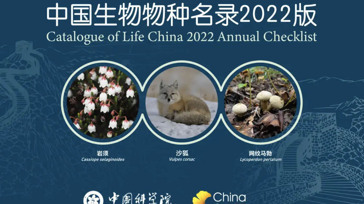 中国生物多样性最新“家底”公布 收录物种及种下单元13.8万多个