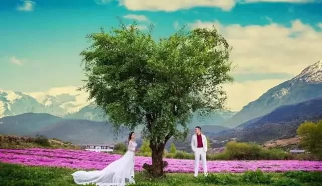 快手网红吴迪大婚,邀请了整个网红圈