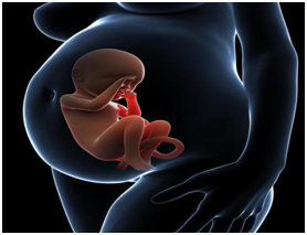 无创DNA胎儿亲子鉴定-解决家庭烦恼的桥梁