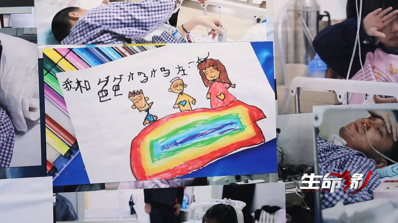 《生命缘》20200429我想陪你长大