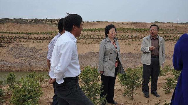 中国治沙"女官":把树种到"联合国"后,她选择了辞官!